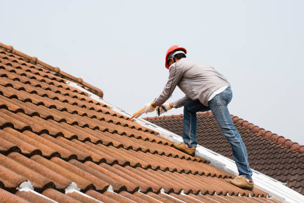 Best Roof Ventilation Installation  in Woodworth, LA